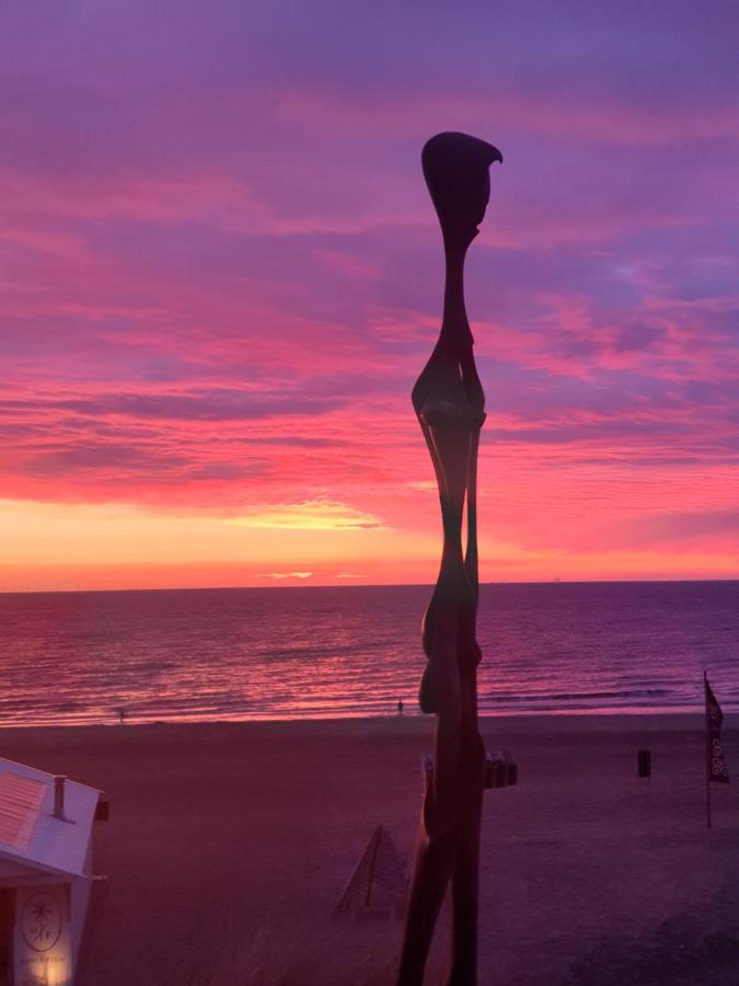 Sunset Lodge Zandvoort Exteriér fotografie